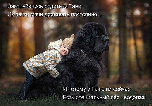 Картинки из ваших интернетов
