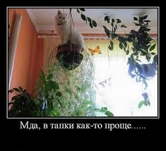 ЯП посетители (дополнения 4)