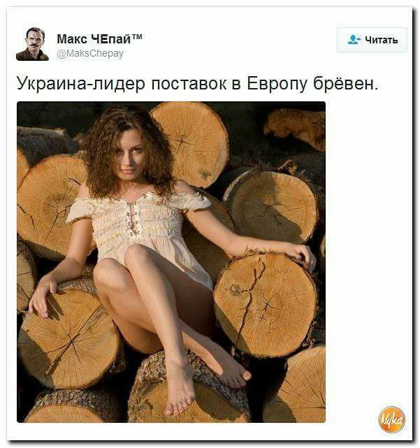 Смешные комментарии из социальных сетей 30.12.2016