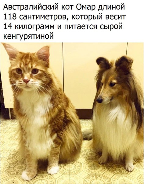 Подборка интересных и веселых картинок