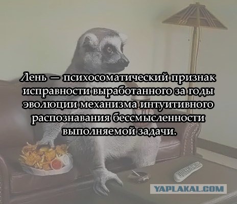 Неожиданные причины, почему быть ленивым полезно