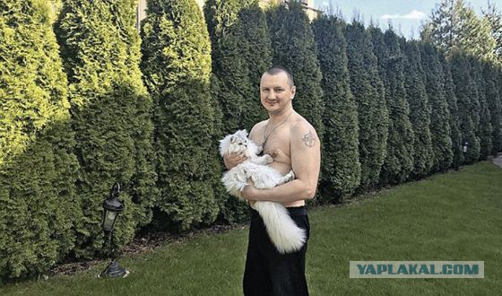 "Полные уроды". Знаменитости глазами официантов и помощников