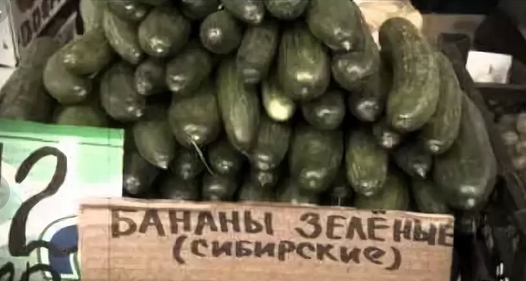 Как на самом деле растёт и выглядит еда перед тем, как попасть на полки супермаркетов