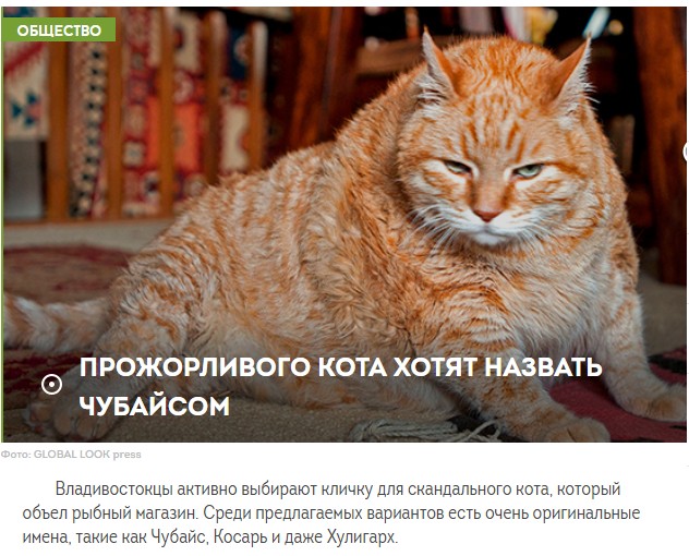 Мистер Титановые Бубенцы
