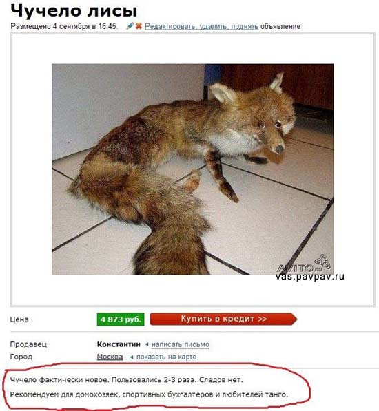 Не очень адекватный юмор