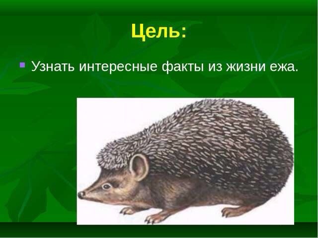 Картинки по-приколу