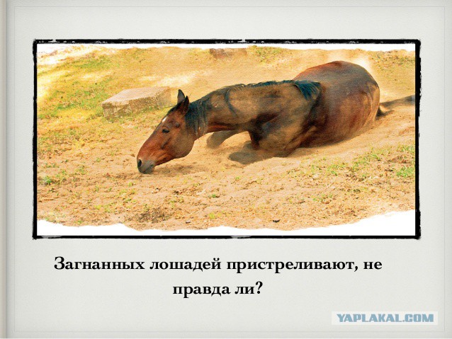 Собчак поддержала пенсионную реформу: Если вы хотите на пенсию в 55, что-то пошло не так с вашей жизнью