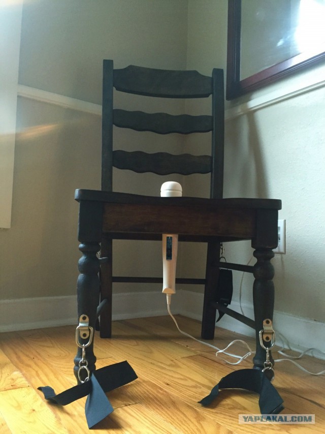 Лента прикольных картинок