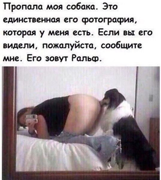 Скотсети и прочие интернеты 28.12.18