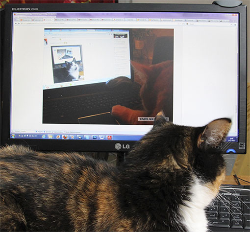 Суперняшности псто!