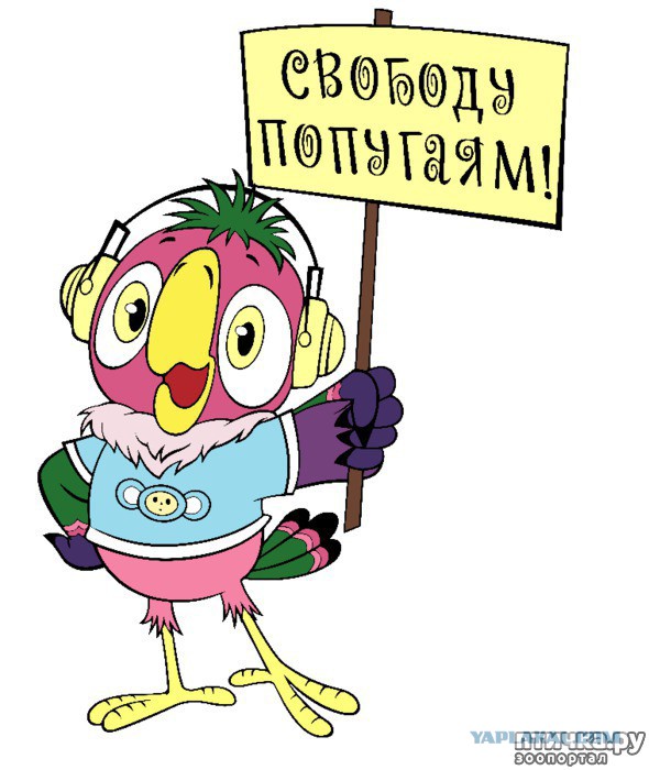 Жириновский: «Кокорин и Мамаев сидят в тюрьме, а Гулиев отделался штрафом. Как такое выходит?»