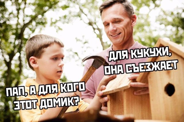 Подеградируем?