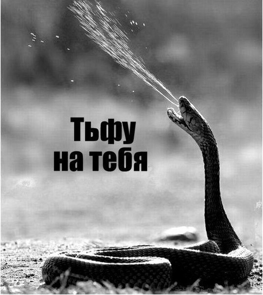 Опять влюбился в работницу кафешки. Про одиночество