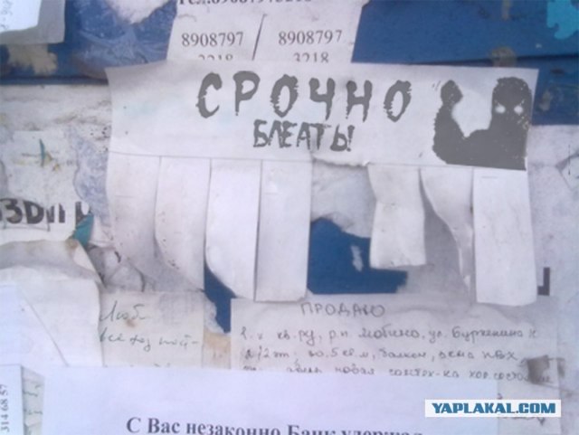 Ну какая прелесть на столбе!