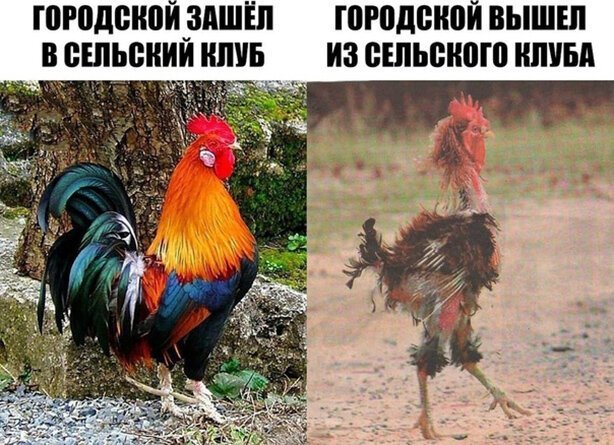 Пара-пара-пам! Фьють. Картинки с надписями.