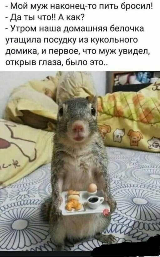 Кучка картинок №8