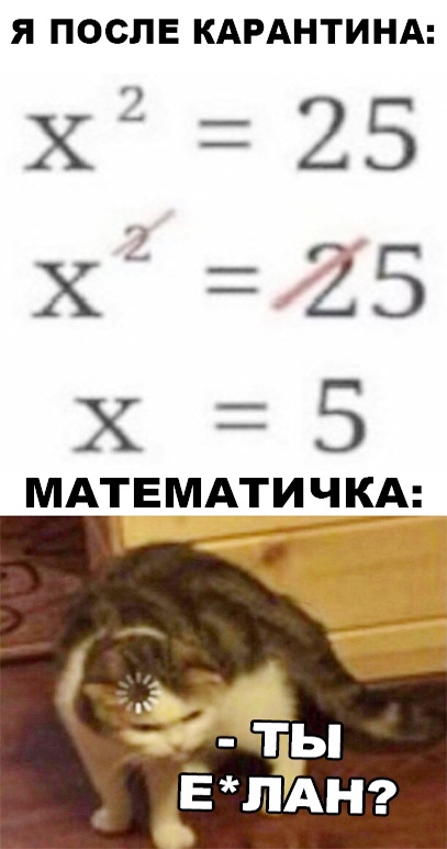 Среда с оттенками коричневого