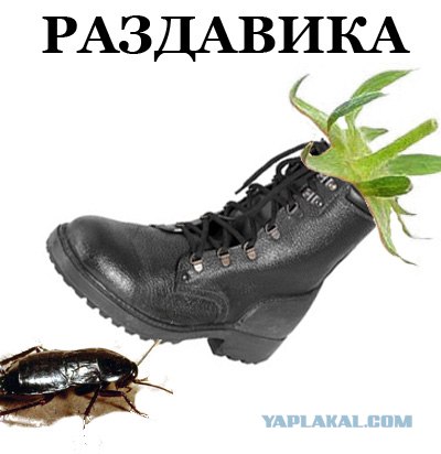 Фотожаба: Лето, фрукты, генетика!