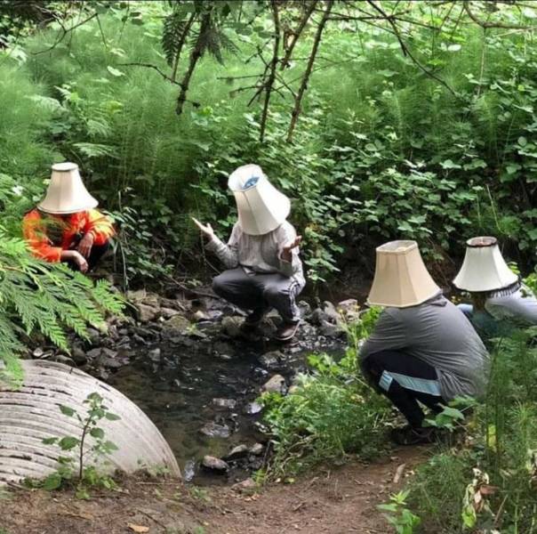 Картинки на выходные