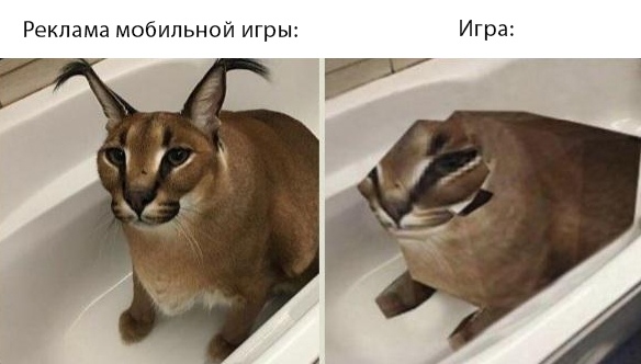 Весёлый полтишок 24.02