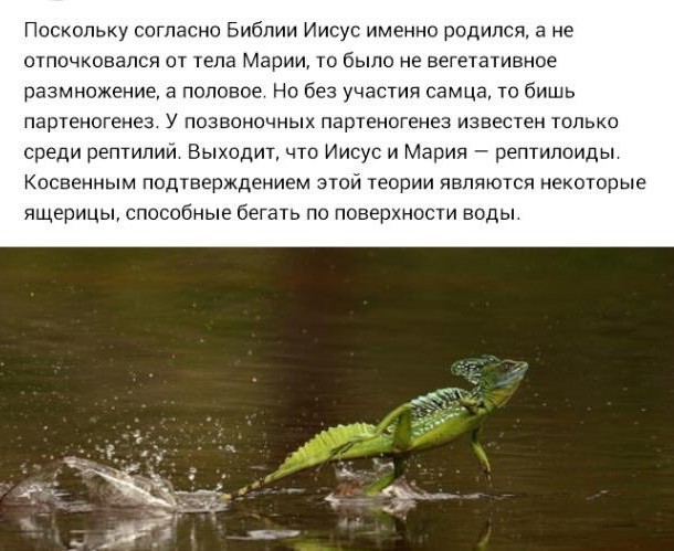 Аморальная деградация