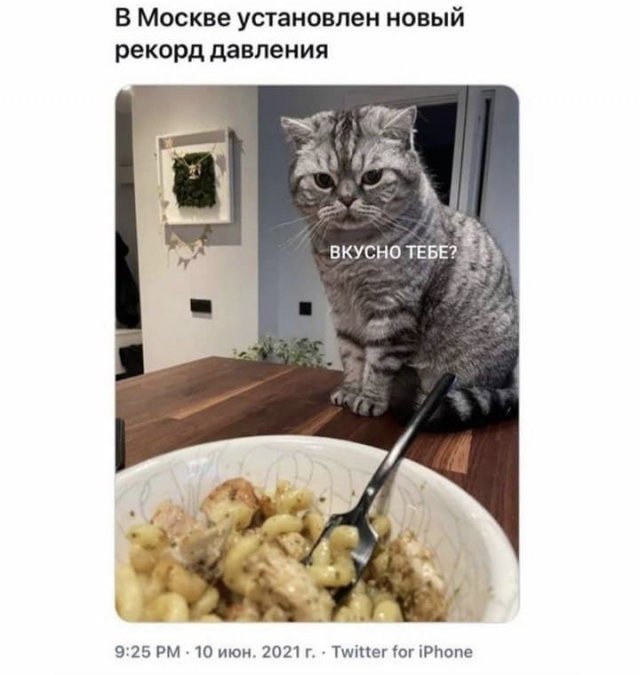 Баянисто-небаянистый юмор 15.06.21