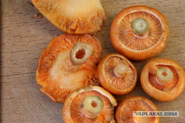 Осень в банках