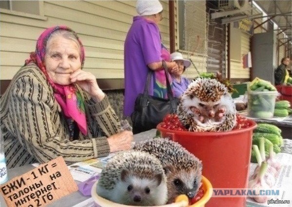 Алматы от Алматинца