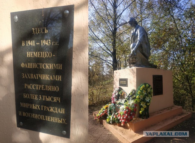 ЯП кругосветка. Этот проект завершился!