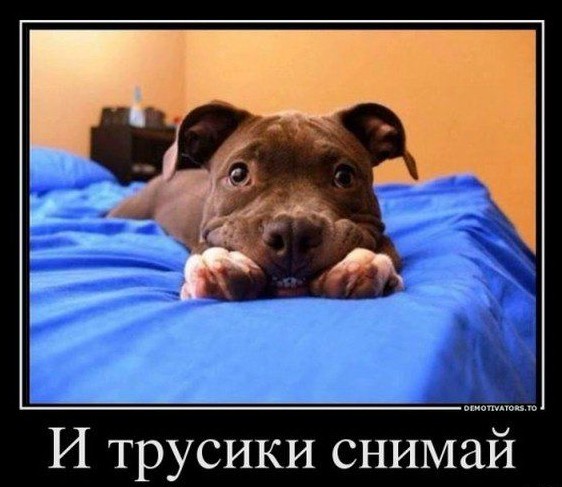 Эксклюзивно для ЯП