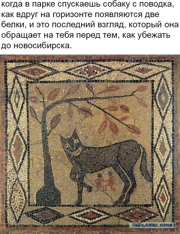 Немного картинок."Колбасный ветер". Август