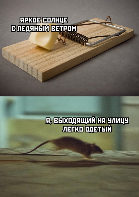 Картинки и мемы, всем хороших выходных