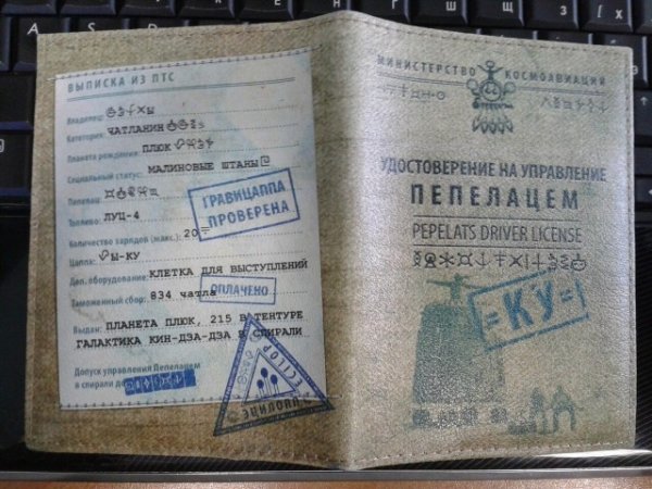 Прикольные и просто красивые картинки 11.11.2022