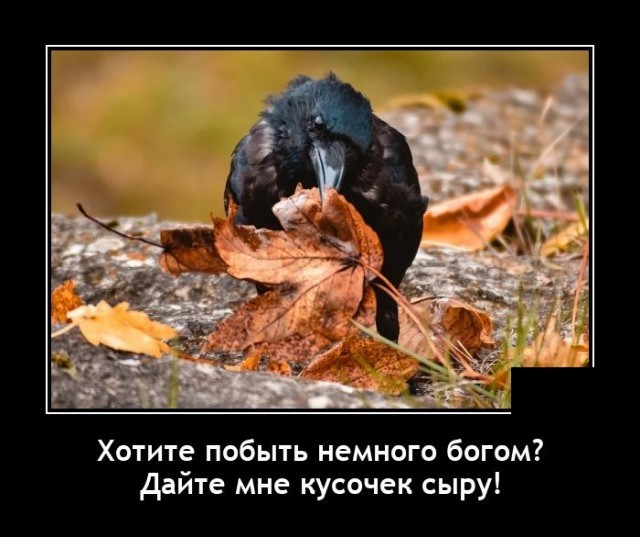 Картинки с надписями 04.12.22