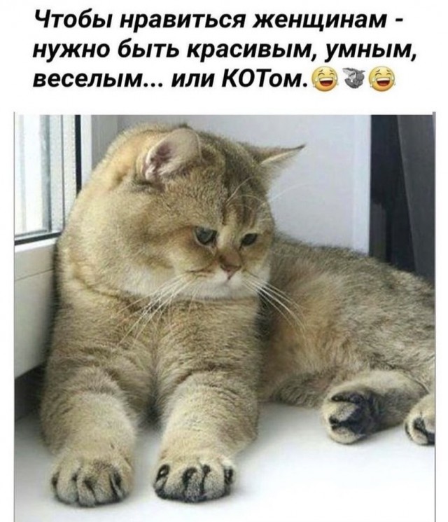 Картинки и мемы, выходные продолжаются