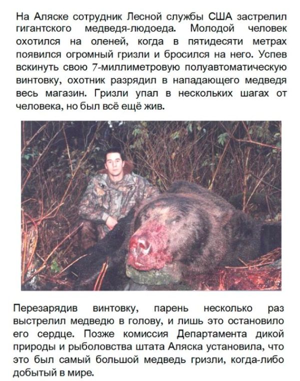 Чё реально  ни разу медведя не выключали?