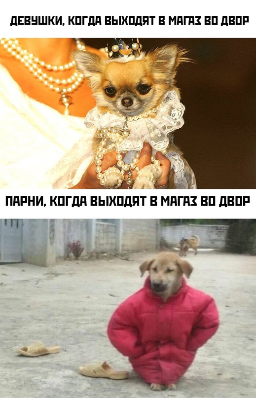 Немного картинок для настроения - 161