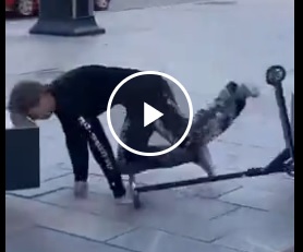 Прокат был хороший...