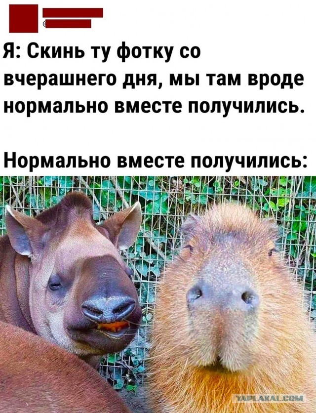 Нате вам ещё ископаемых боянов ЯПа