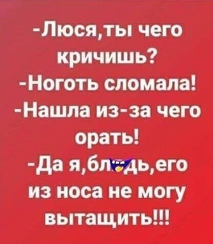 Юмор в картинках и без 08.11.2023