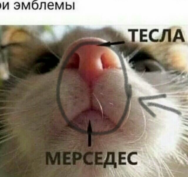 Теперь яснопонятно