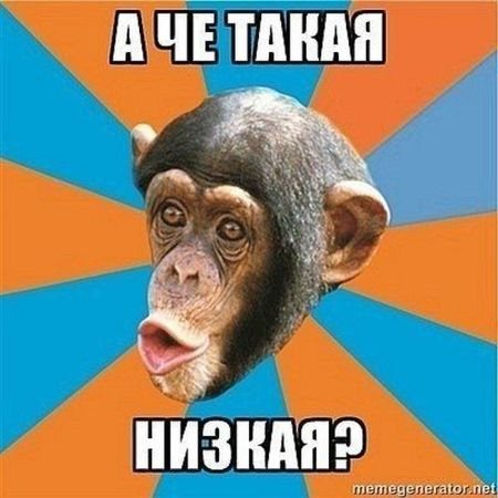 ОМОН крепит красные мокасины