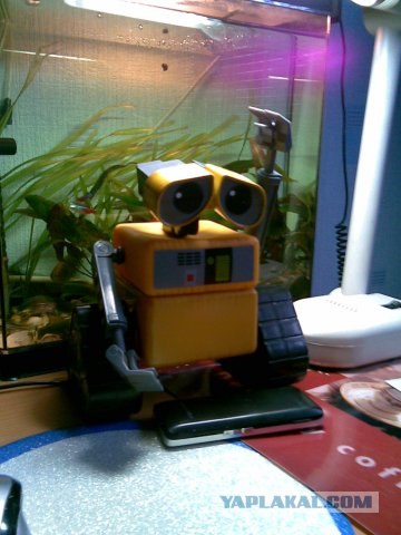 Wall-e в домашних условиях)))