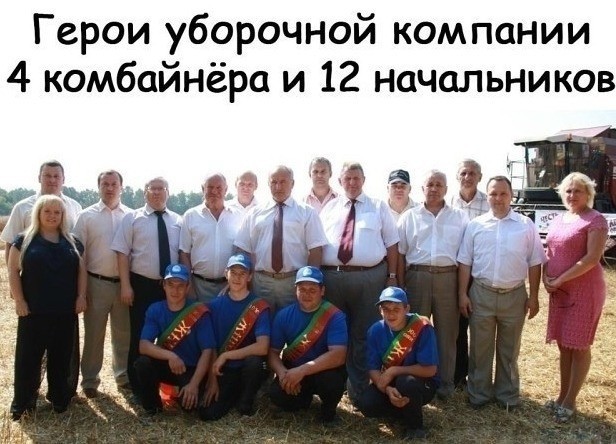Хлеб