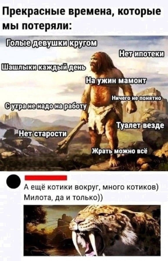 Веселые картинки к маленькой пятнице (31.06)