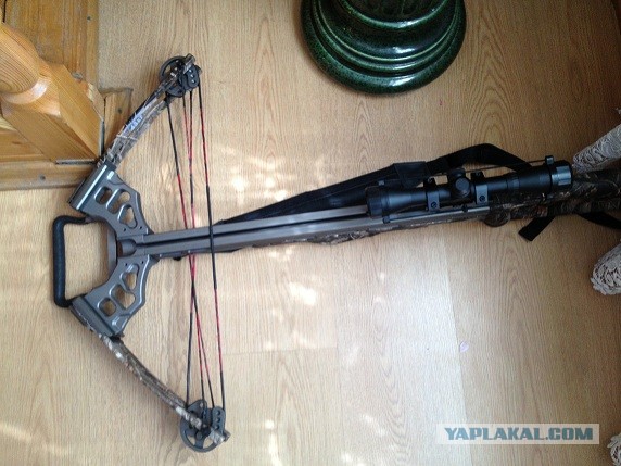 Как я начал стрелять из лука