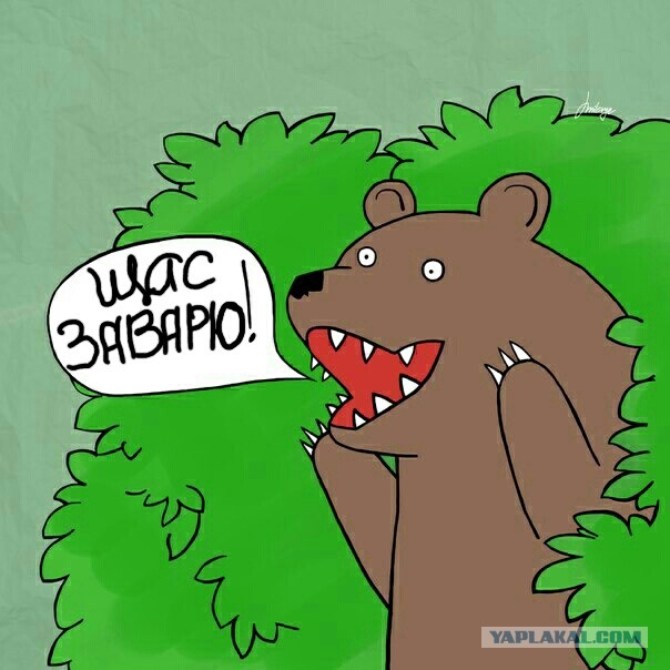 "Замечательный" сосед.
