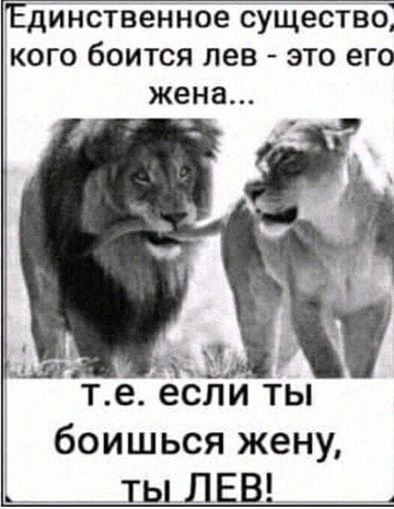 Я тебе еще пригожусь!