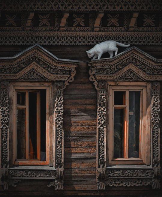 Фотографии из прошлого нашей страны – 79