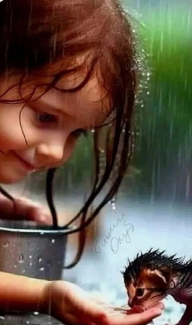 Так себе картинки 16.01.25